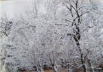 IMG_20200503_155846